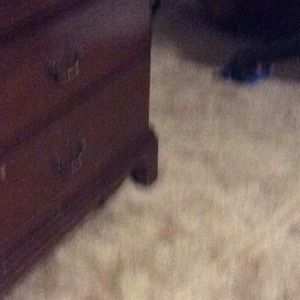 Meet your Posher, Thomas